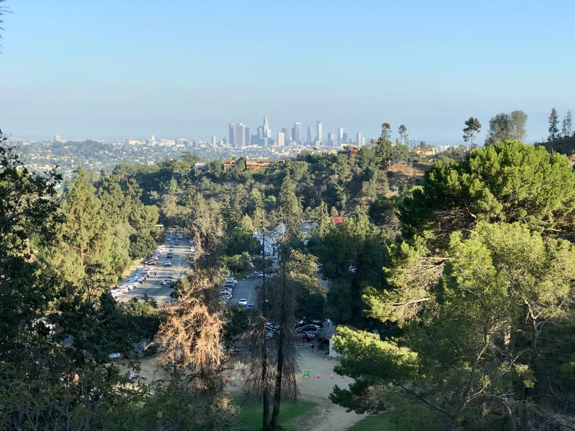 Creating a New Park as a Space of Hope and Healing
